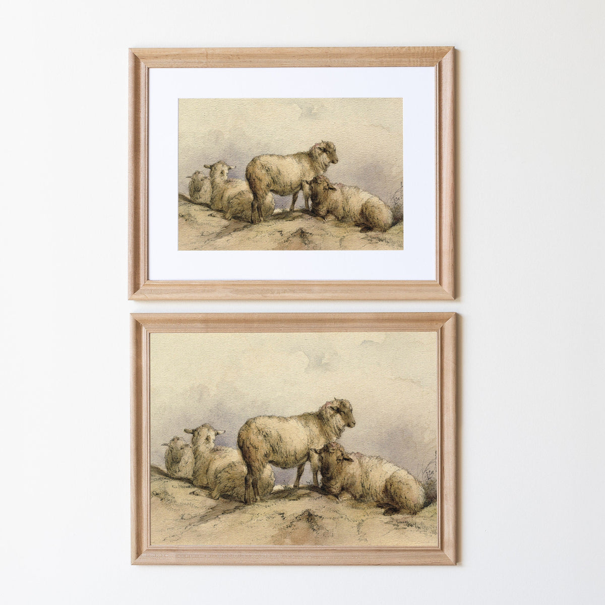 Vintage Sheep Painting | Wood Framed Canvas | N80