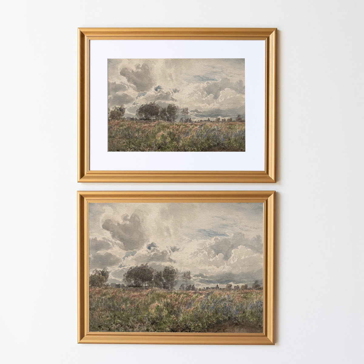 Vintage Wildflower Field Art | Wood Framed Canvas | N94