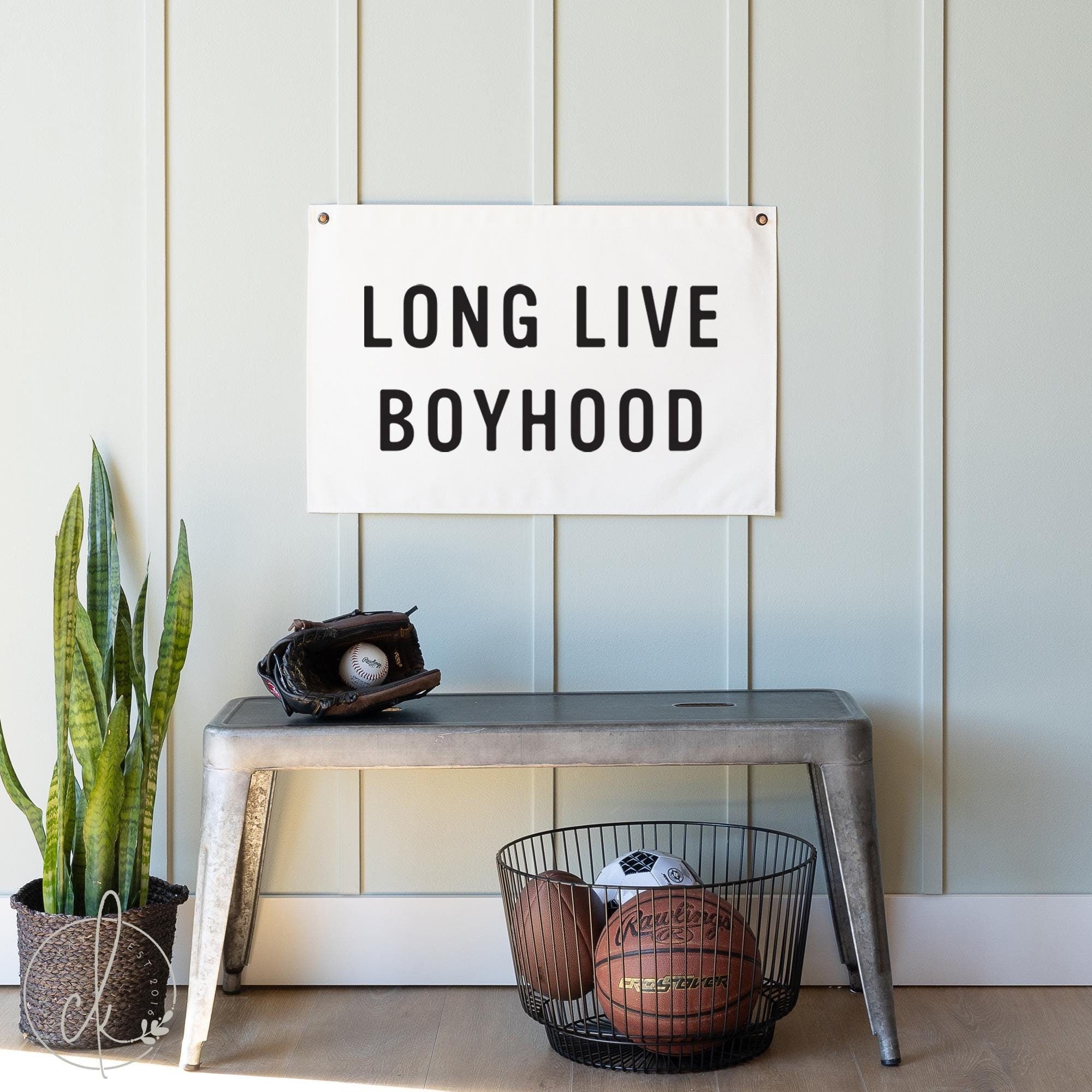 Long Live Boyhood