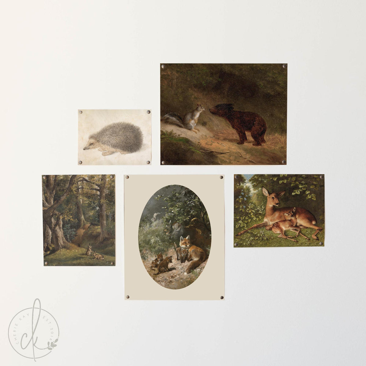 Woodland Animal Nursery Art | Gold Framed Nature Gallery Wall | Vintage Wildlife Prints | Baby Room Decor | Kids Room Wall Art Set | G21