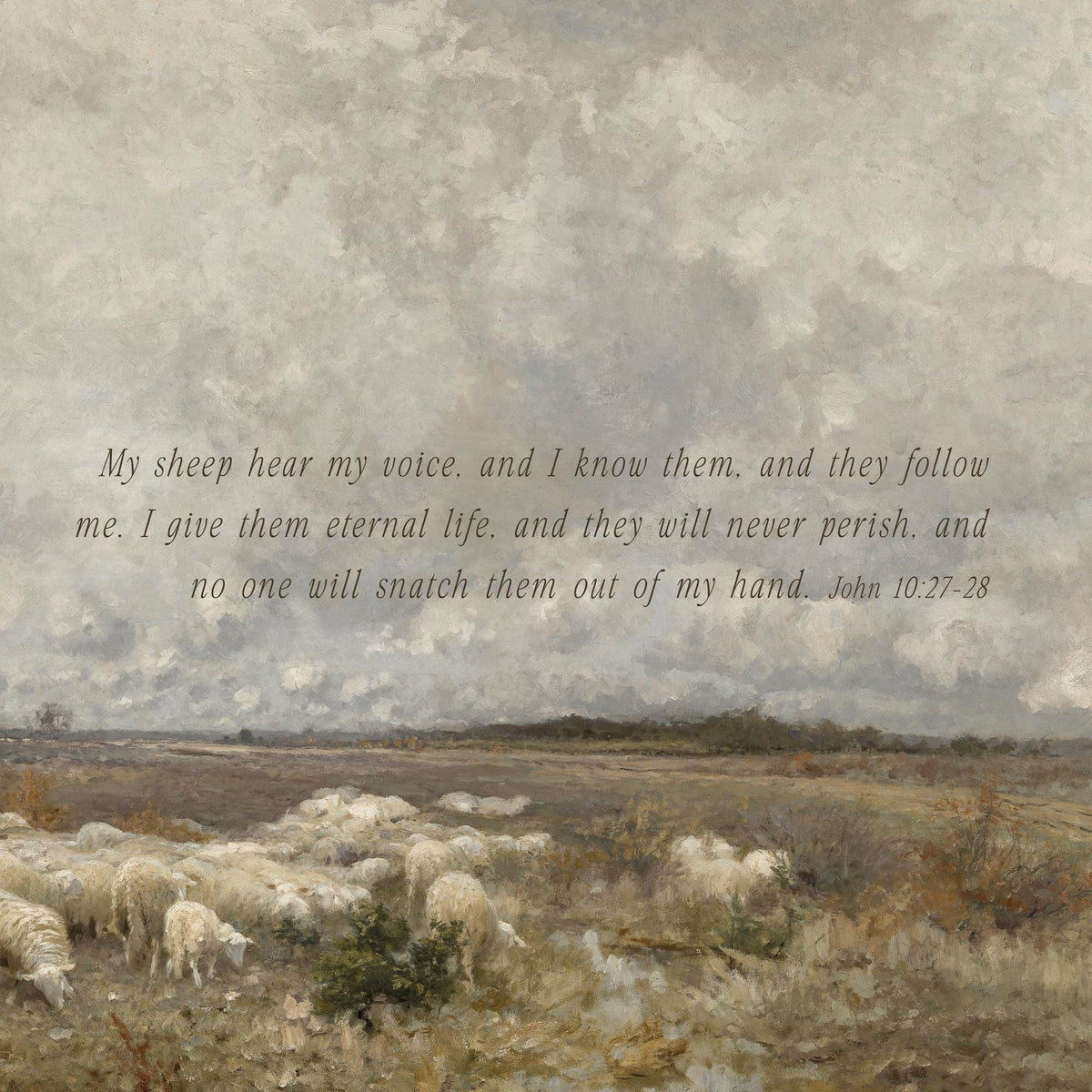 John 10: 27-28 on a landscape painting with sheep