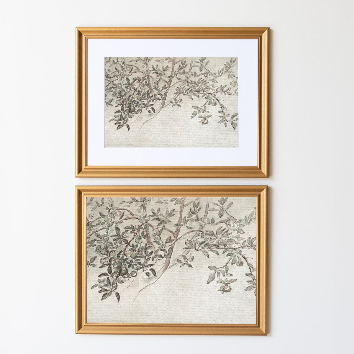 Elegant Framed Nature Artwork | Neutral Botanical Landscape Print | Farmhouse &amp; Modern Wall Decor | Large Vintage Wall Art | N59